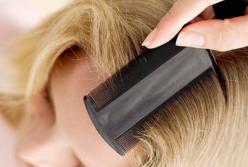 Почему от вшей так трудно избавится? (видео)