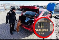 В одесском порту в машине из США нашли боеприпасы (видео)