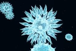 Человек носит в себе 2 кг бактерий: чем это чревато? (видео)