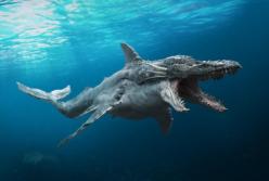 То, что сняла камера на дне Марианской впадины, не поддается объяснению. Тайны океана (видео)