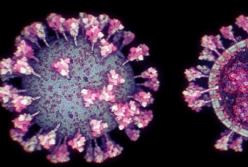 Ученые создали самую точную 3D-модель коронавируса (видео)