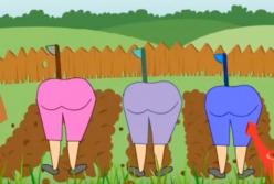 Самое прикольное поздравление с 1 мая: вся правда об этом празднике (видео)