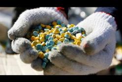 ООН назвала самый распространённый и опасный наркотик (видео)