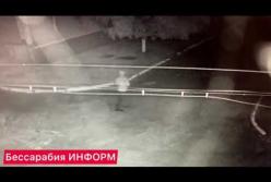 Под Одессой во двор фермера бросили гранату (видео)