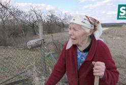 Избиение школьницы на Закарпатье: стали известные новые подробности (видео)