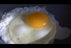 Яйца опасны для здоровья! (видео)
