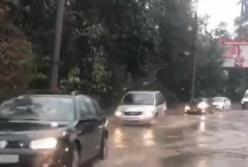 В Черновцах ливень затопил улицы (видео)