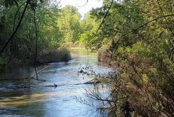 В Киеве в реку Днепр слили токсические отходы (видео) 