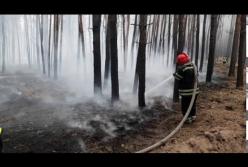 Пожары в Луганской области: до сих пор не погашены 64 возгорания, повреждено 250 зданий (видео)