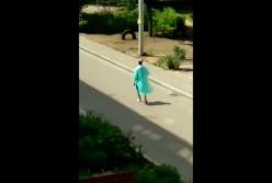 В Мелитополе по двору многоэтажки "гулял" странно одетый мужчина (видео)