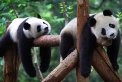 Какая польза от лени? (видео)