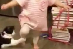 Кошка подставила подножку маленькой девочке (видео)