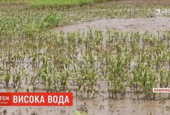 На Винничине произошло наводнение со смертельными последствиями (видео)