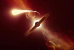 Сверхмассивная черная дыра разорвала захваченную ее гравитацией звезду (видео)