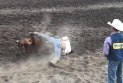 Экс-чемпион UFC поборол быка (видео)