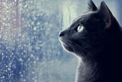 Когда будет "сухо и тепло"? Погода остается загадкой в этом сезоне (видео)