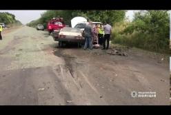 Три человека погибли в ДТП на Днепропетровщине (видео)