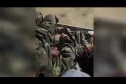 Боевики ИГИЛ взяли в плен российского военного (видео)
