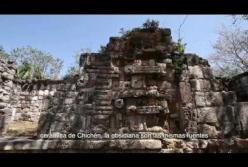 В джунглях нашли огромный дворец майя (видео)