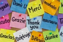 Какой язык самый легкий в мире? (видео)