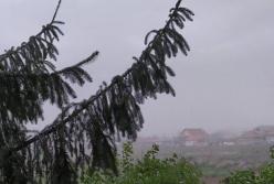 В Закарпатской области бушевал мощный ураган (видео)