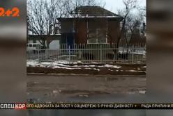 Стадо диких кабанов бегало по городу на Буковине (видео)