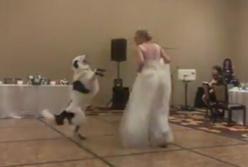 Невеста, танцующая со своей собакой, стала звездой Сети (видео)