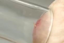 Это спасет от смерти в экстремальных ситуациях: самые полезные лайфхаки (видео)