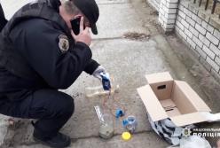 В Измаиле в автобусе несколько дней возили бомбу в посылке (видео)