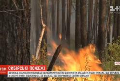 Трамп предложил Путину помочь потушить лесные пожары в Сибири (видео)