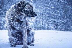 Резкое похолодание до -11: на Украину идет мощный циклон (видео)