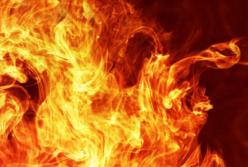 Жуткие крики внутри горящего самолета, который приземлился и загорелся в аэропорту Шереметьево (видео)