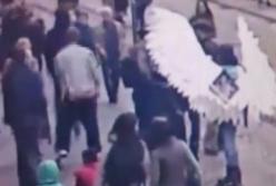Пьяный немец устроил стриптиз на улице Львова (видео)
