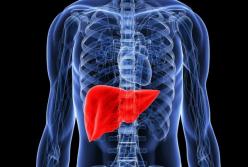 Медики назвали полезные продукты для печени (видео)