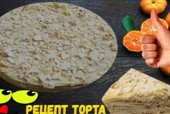 Простой рецепт торта без выпечки за считанные минуты (видео)