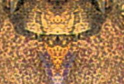 Ученые разгадали скрытое послание на картине да Винчи (видео)