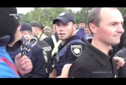 Появилось видео жестких стычек полиции с добытчиками янтаря на Волыни (видео)