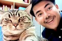 Кошка ночью чуть не задушила своего хозяина (видео)