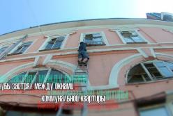 Голубь пять суток просидел взаперти между рамами окна (видео)