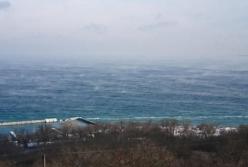 В Одессе "закипело" море (видео)