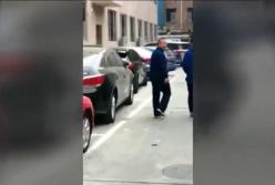 Кот качает пресс на улице. Весна ведь на носу! (видео)