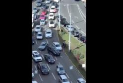 В Киеве водители подрались, "не поделив дорогу": создалась огромная пробка (видео)