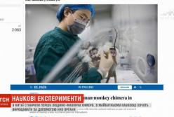 В Китае создали первую человекоподобную обезьяну (видео)