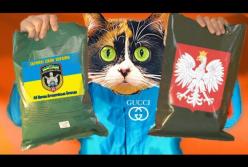 Что едят в армии Украины и Польши? (видео)