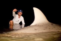 Схватка 181-килограммовой акулы с рыбаками (видео)