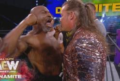 Майк Тайсон устроил массовую драку на рестлинг-шоу  (видео)