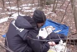 Жуткая находка: младенец в мусорном пакете в столичном лесопарке (видео)