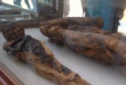 ​Археологи обнаружили новую уникальную гробницу в Египте: муж и жена сохранились в саркофагах в хорошем состоянии (видео) 