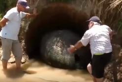 Аргентинский фермер нашел "яйцо динозавра" (видео)