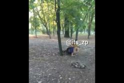 В Запорожье жестоко подрались девочки-подростки (видео)